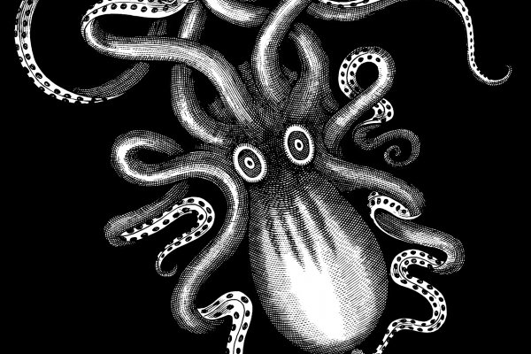 Kraken даркнет маркет